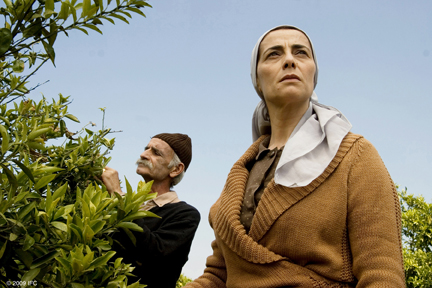 Imagem - Divulgação